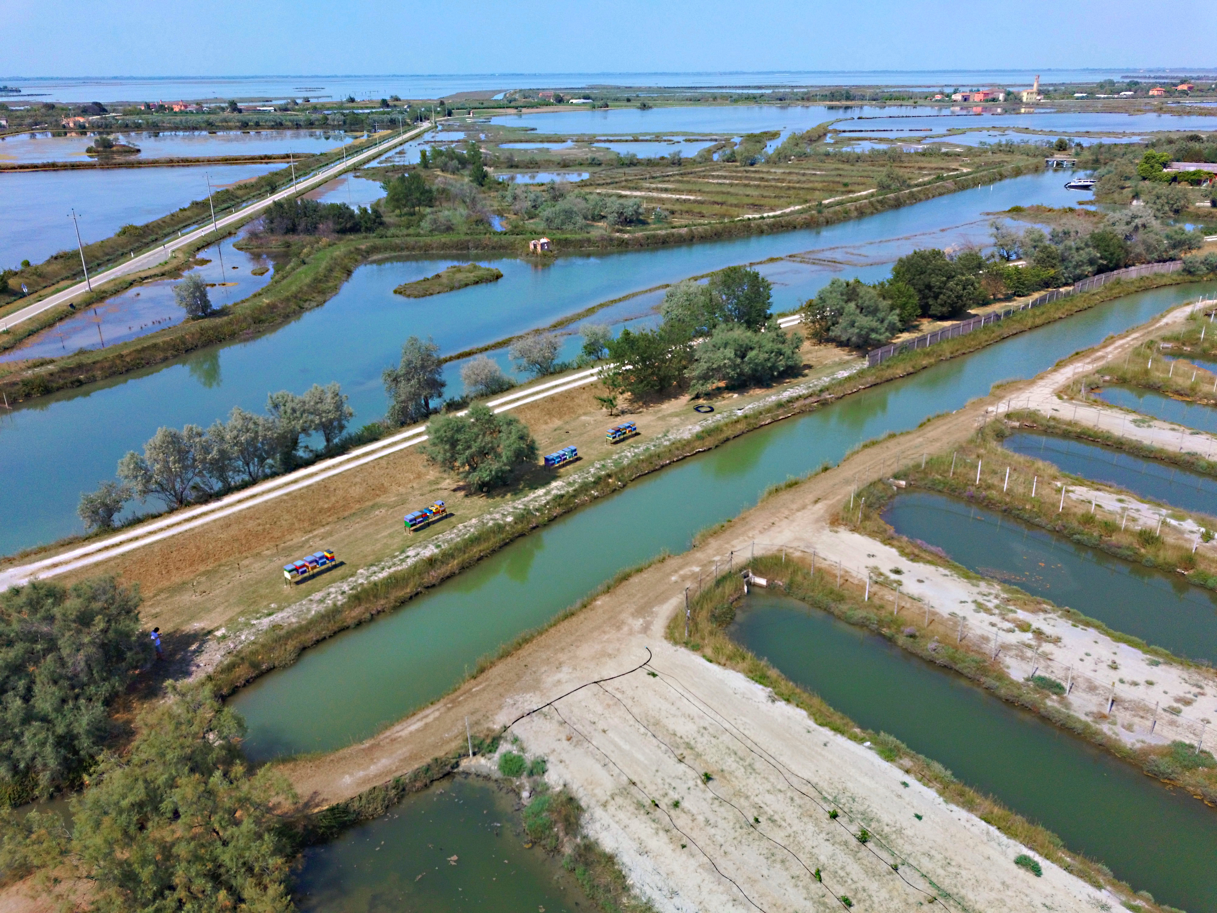 beeyard in lagoon