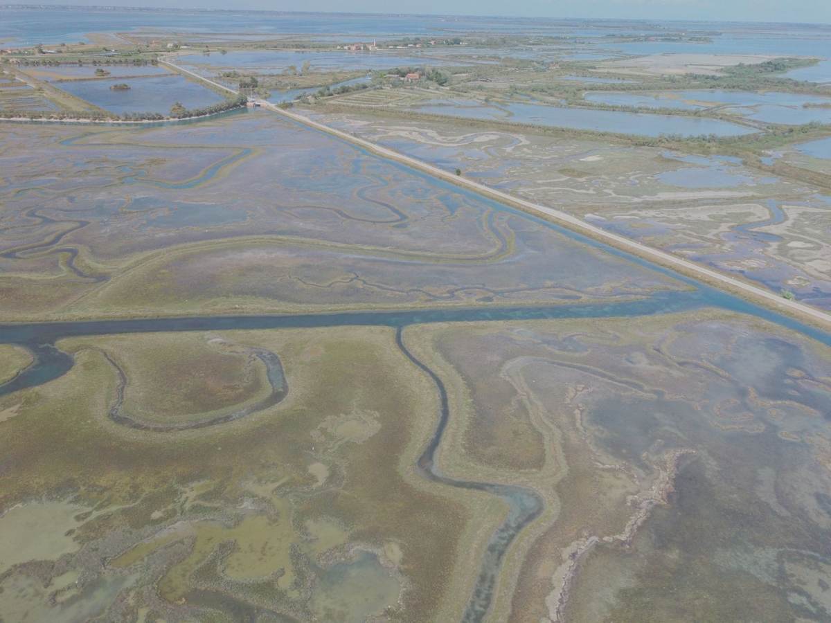 Barene, canali e chiari della laguna nord di Venezia visti dal drone a Lio Piccolo